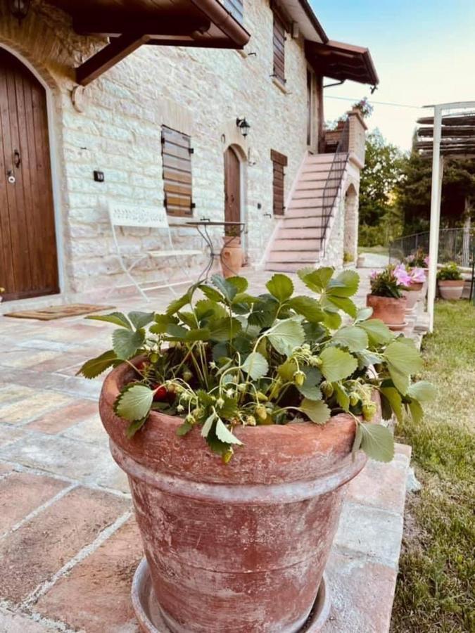 B&B Il Poggetto Serra SantʼAbbondio 外观 照片