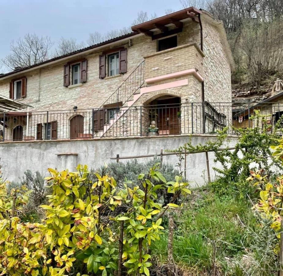 B&B Il Poggetto Serra SantʼAbbondio 外观 照片