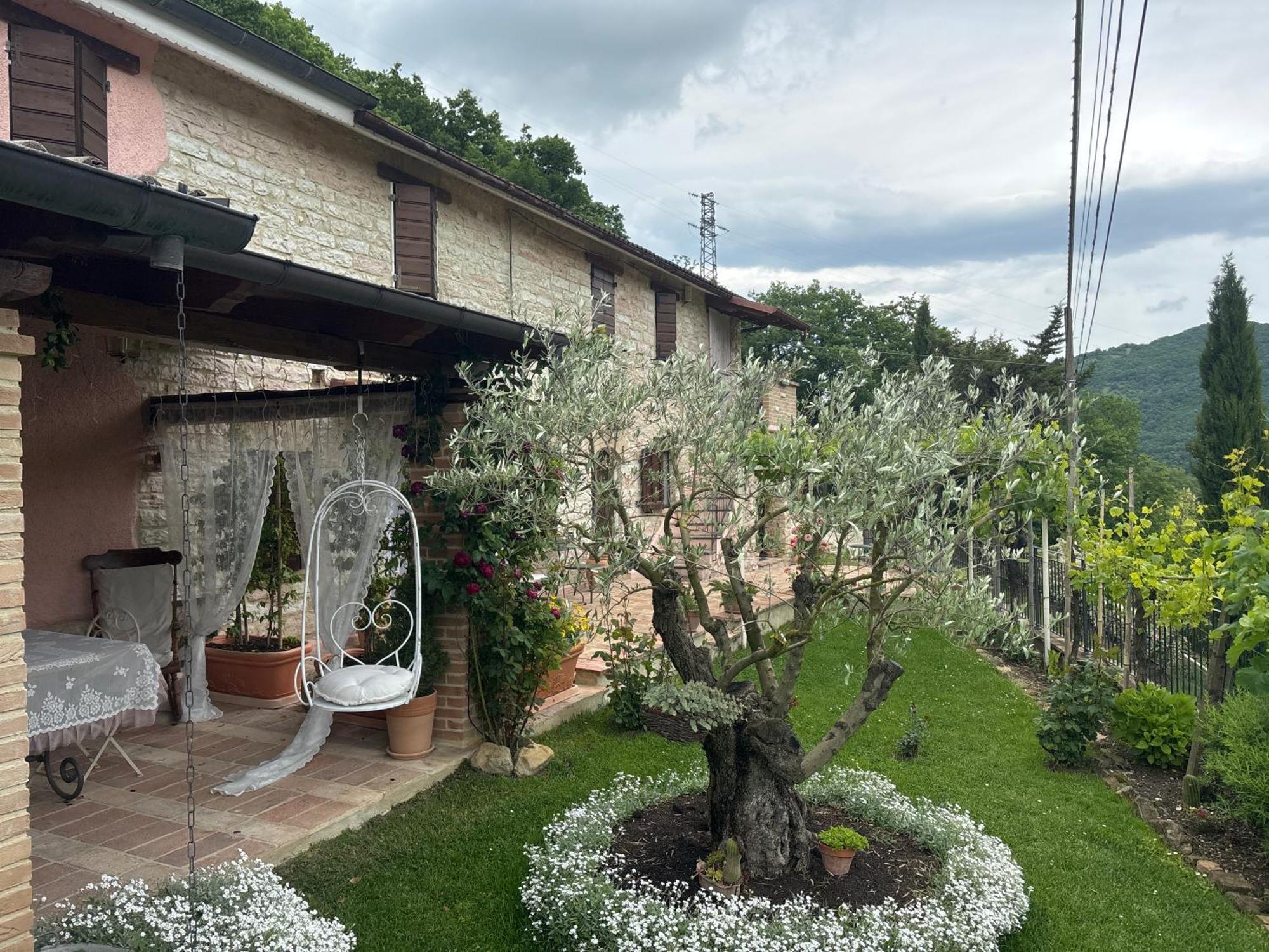 B&B Il Poggetto Serra SantʼAbbondio 外观 照片