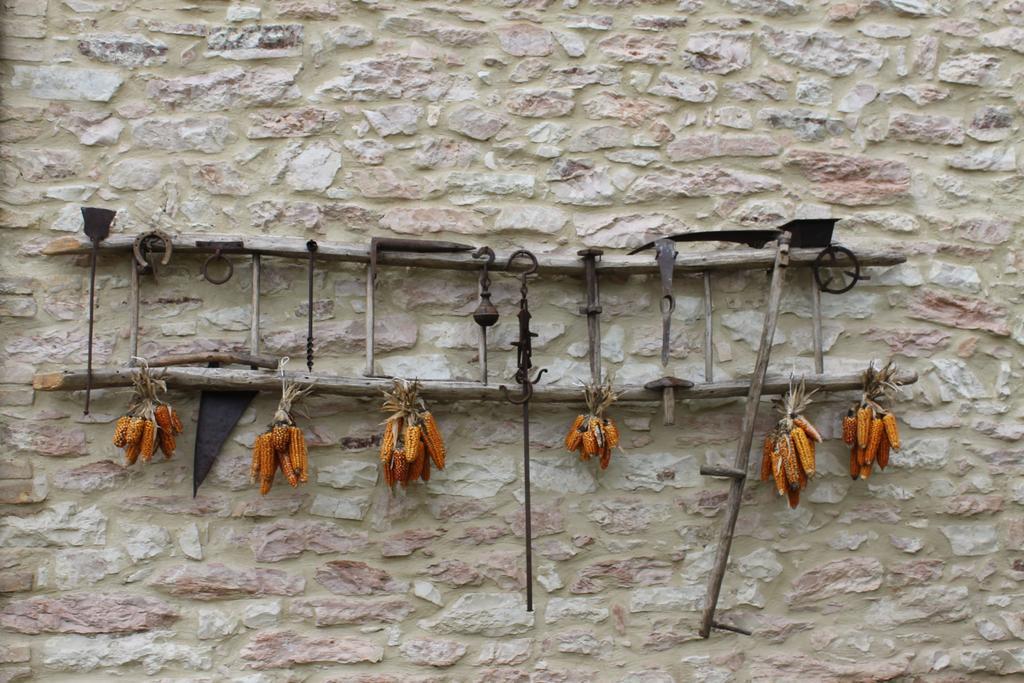 B&B Il Poggetto Serra SantʼAbbondio 外观 照片