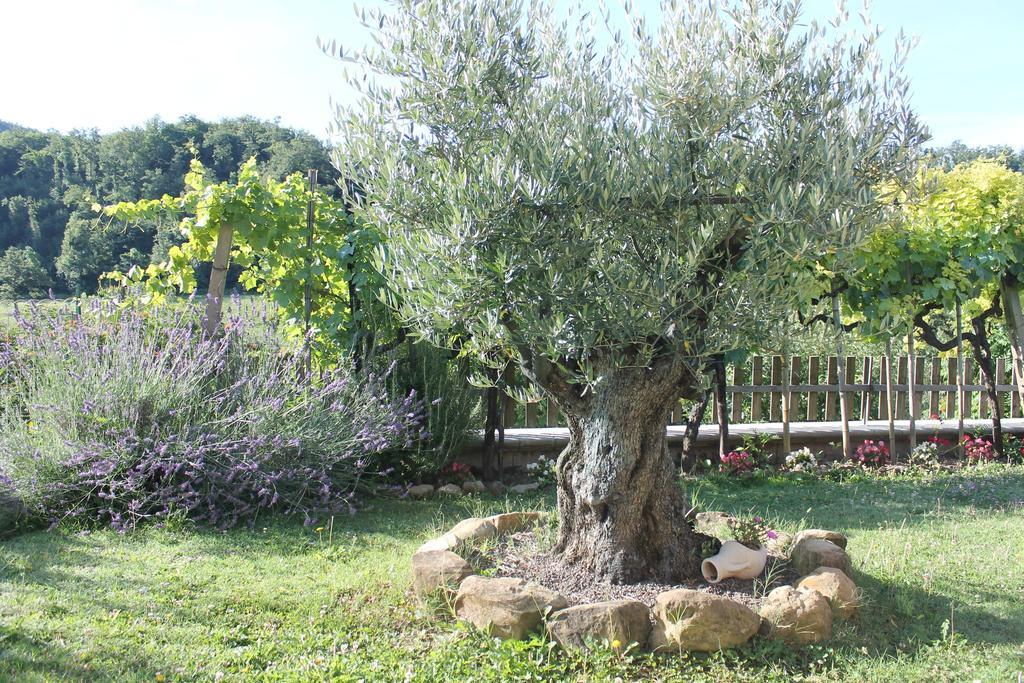 B&B Il Poggetto Serra SantʼAbbondio 外观 照片