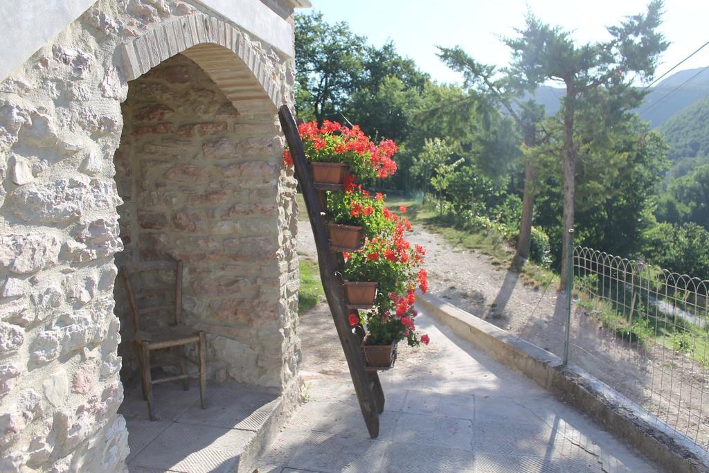 B&B Il Poggetto Serra SantʼAbbondio 外观 照片